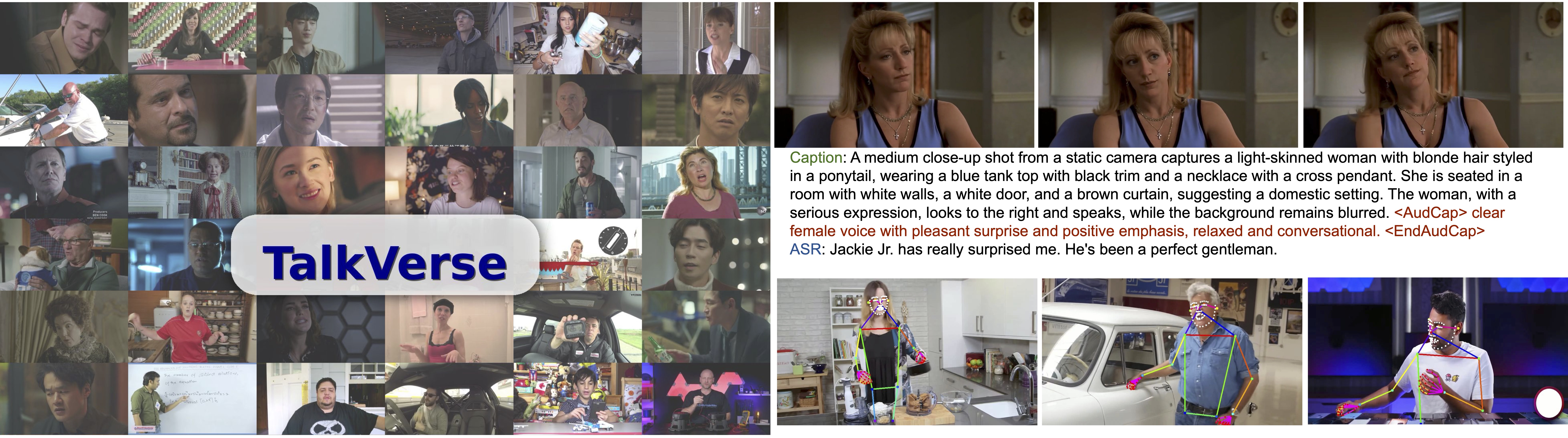 TalkVerse teaser examples